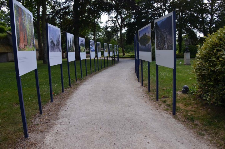 Promenades photographiques