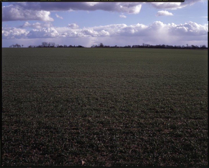 Bataille d'Azincourt (25 octobre 1415) Photographie ©Yan Morvanfontenoy-jpg