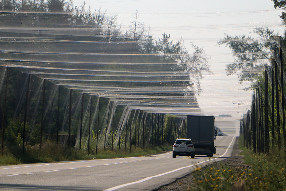 La majeure partie de la route entre Kharkiv et Izium, soit plus de 100 kilomètres, est dorénavant recouverte de filets antidrones FPV. Sur la M03, à Kluhyno-Bashkyrivka le 7 août 2026. Photographie Thierry Birrer.