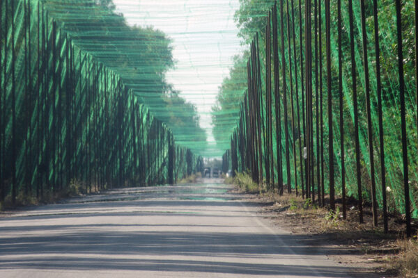 Sur la route qui mène à Nikopol (oblast de Dnipropetrovsk) le 11 juillet 2026. Photographie Thierry Birrer.